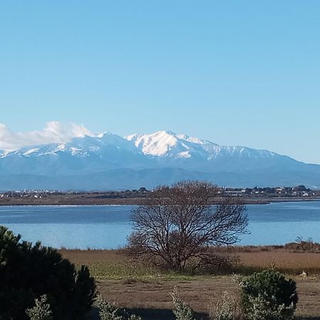 Appartamento Le Capestang Canet-en-Roussillon Esterno foto