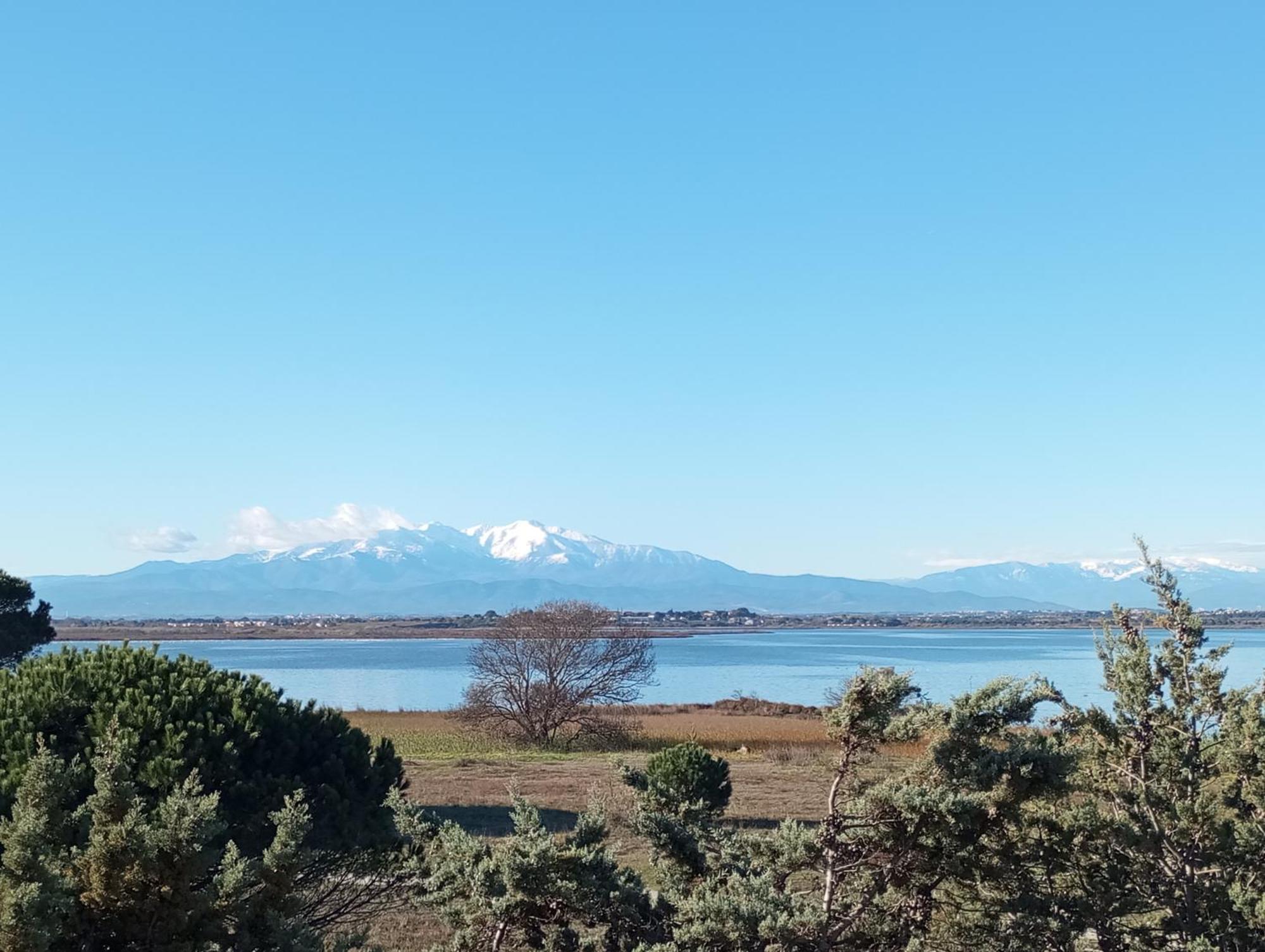 Appartamento Le Capestang Canet-en-Roussillon Esterno foto