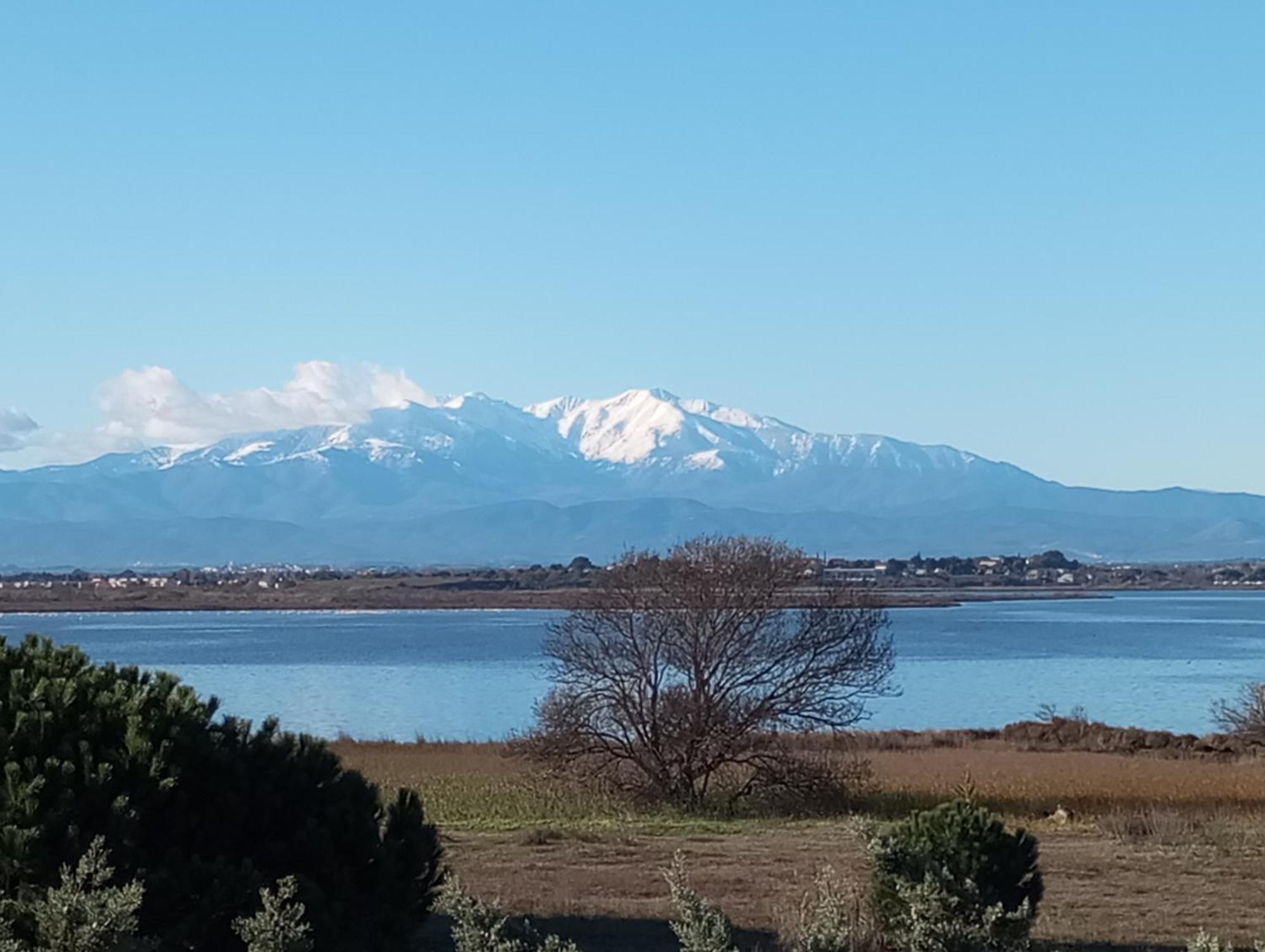 Appartamento Le Capestang Canet-en-Roussillon Esterno foto